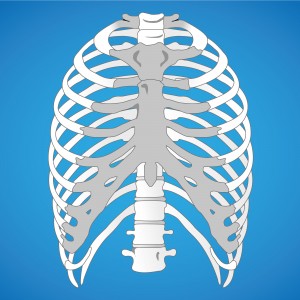 World’s First 3d Printed Titanium Ribcage