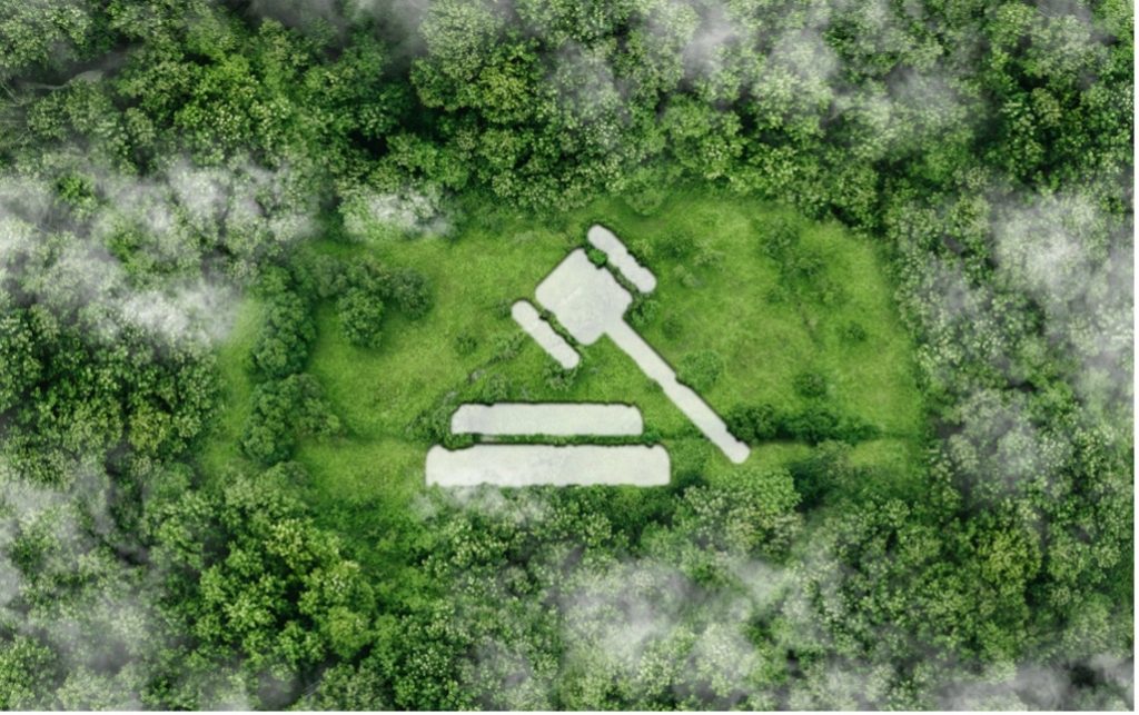 A bird's eye view of a green field with a gavel
